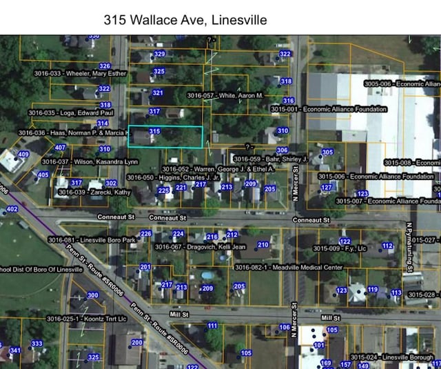 315 Wallace Ave, Linesville, PA 16424 - aerial overview of property's location featuring property boundaries highlighted