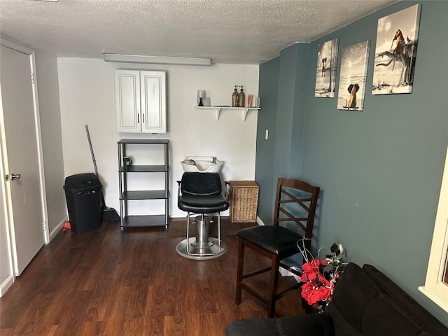 315 Wallace Ave, Linesville, PA 16424 - living area featuring a textured ceiling and dark wood-type flooring
