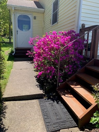 6946 Huntley Rd, West Springfield, PA 16443 - exterior view of entry steps and a downspout