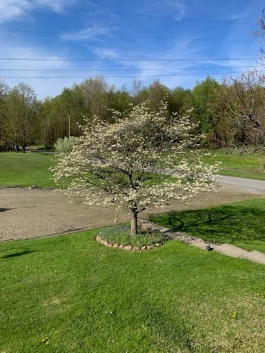 6946 Huntley Rd, West Springfield, PA 16443 - view of property's community featuring a lawn