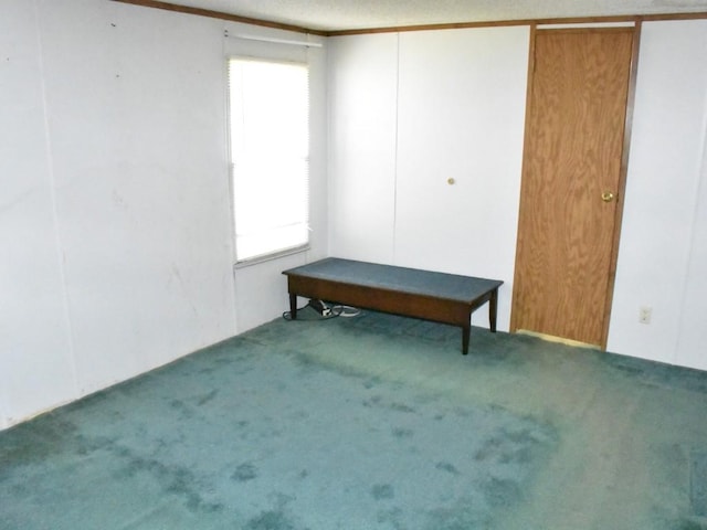 10385 Center Dr, Meadville, PA 16335 - photo 13