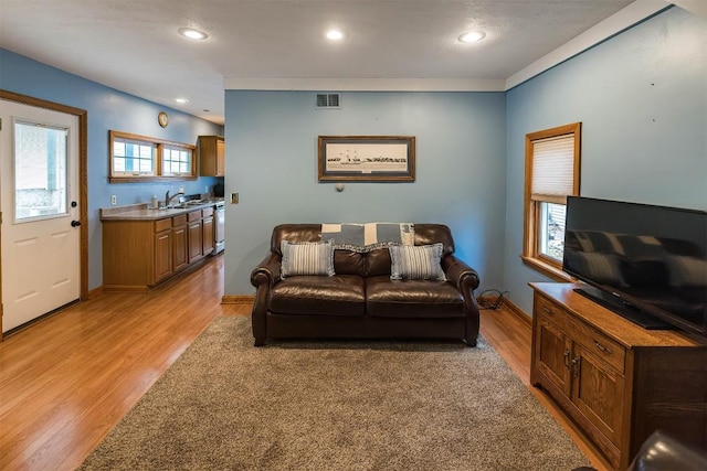 living room featuring light hardwood / wood-style floors and sink