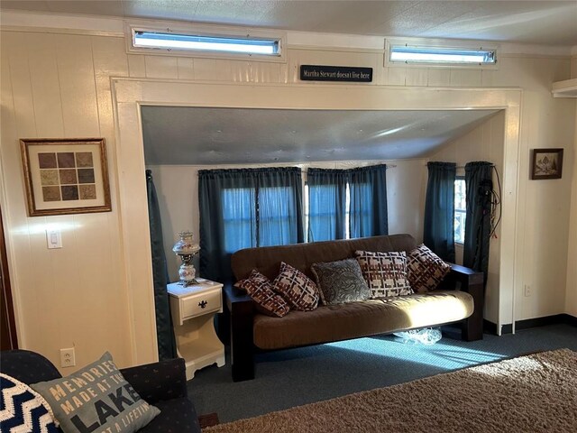 carpeted living room with wood walls