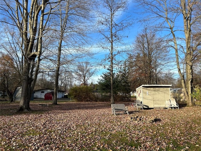 view of yard with a shed