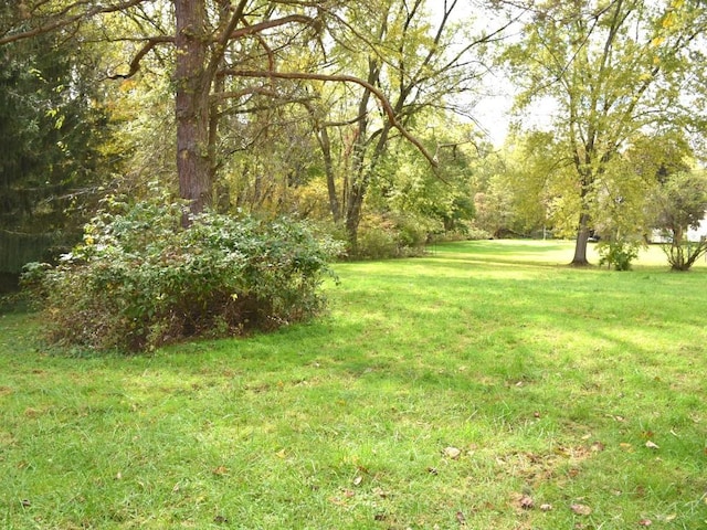 Listing photo 3 for LOT24 S Smith St, Cochranton PA 16314