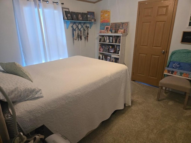 2719 Green Hill Dr, Millcreek, PA 16506 - view of carpeted bedroom