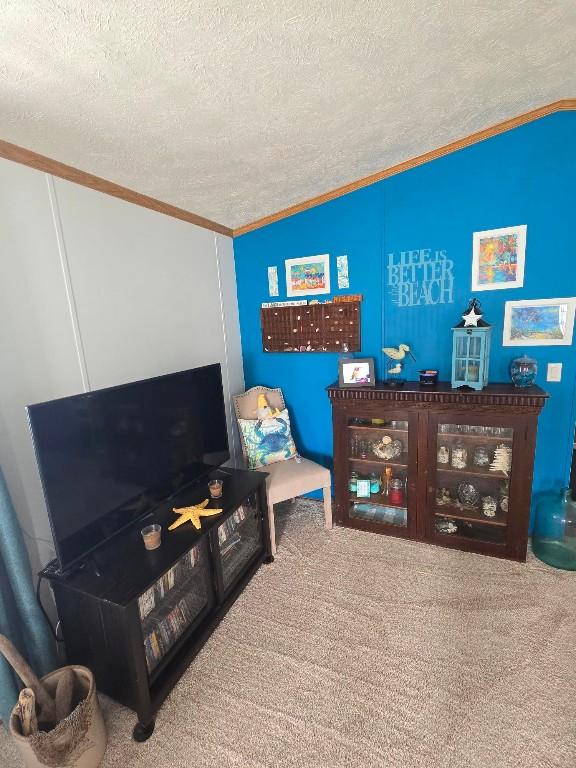 2719 Green Hill Dr, Millcreek, PA 16506 - living area featuring a textured ceiling, ornamental molding, and carpet
