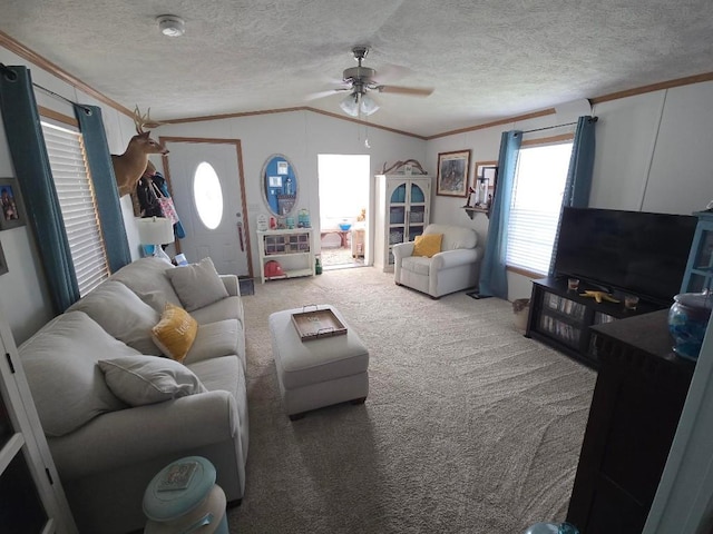 2719 Green Hill Dr, Millcreek, PA 16506 - carpeted living area with lofted ceiling, crown molding, ceiling fan, plenty of natural light, and a textured ceiling