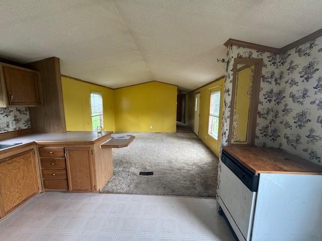2409 N Shore Dr, Linesville, PA 16424 - kitchen featuring a textured ceiling, plenty of natural light, vaulted ceiling, light floors, and crown molding