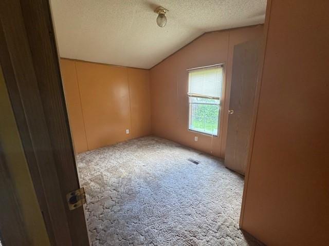 2409 N Shore Dr, Linesville, PA 16424 - unfurnished room featuring a textured ceiling, lofted ceiling, and carpet flooring