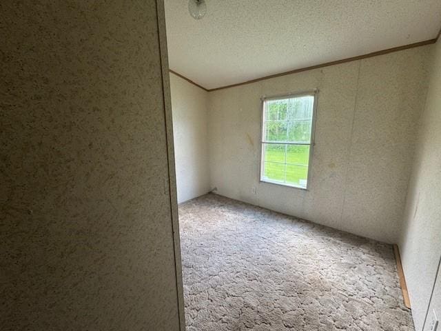2409 N Shore Dr, Linesville, PA 16424 - carpeted empty room with ornamental molding and a textured ceiling