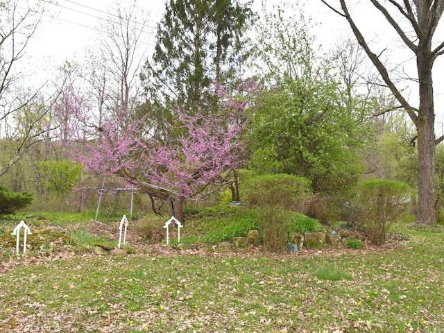 12322 N Watson Run Rd, Conneaut Lake, PA 16316 - view of yard