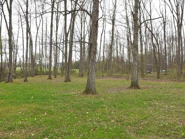 12322 N Watson Run Rd, Conneaut Lake, PA 16316 - view of yard