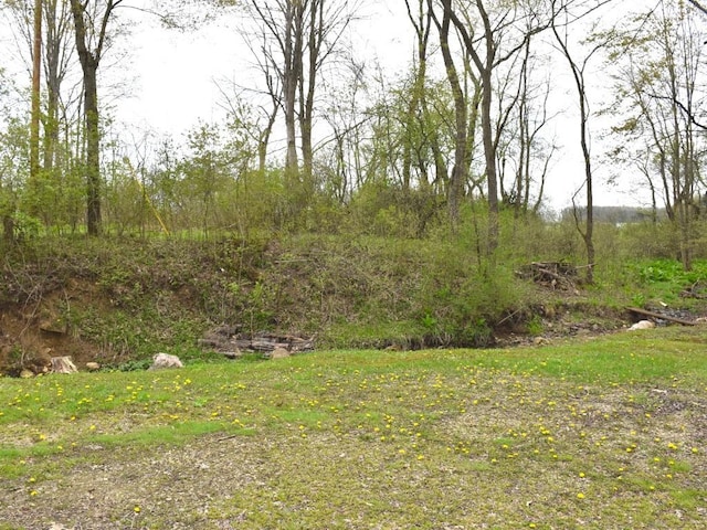 12322 N Watson Run Rd, Conneaut Lake, PA 16316 - view of landscape