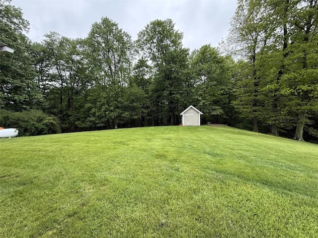 31050 US Highway 322, Cochranton, PA 16314 - view of grassy yard