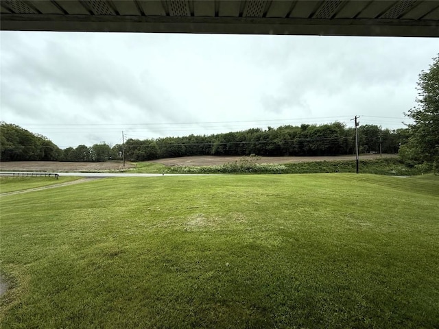 31050 US Highway 322, Cochranton, PA 16314 - view of grassy yard