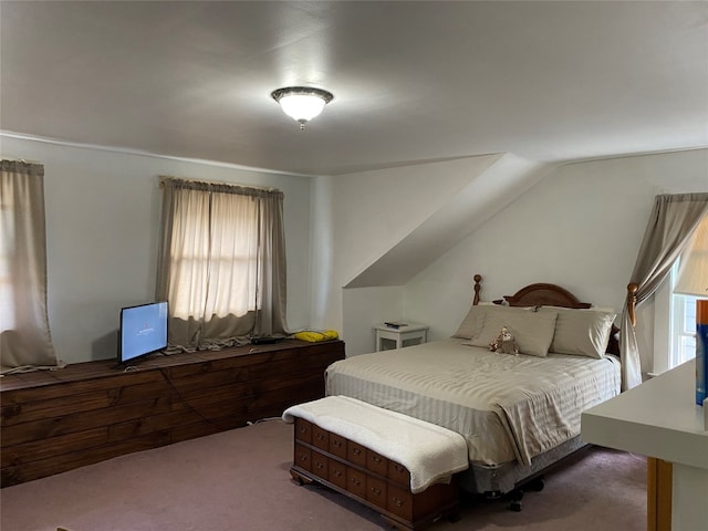carpeted bedroom with multiple windows
