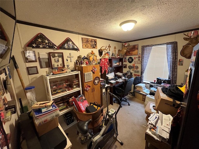 carpeted office space featuring crown molding and a textured ceiling