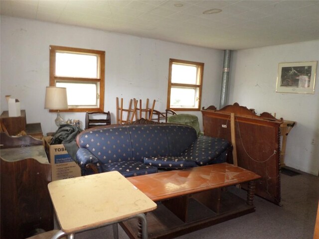 11849 Wilson Rd, North East, PA 16428 - photo 9