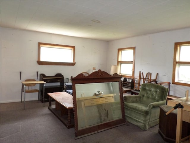 11849 Wilson Rd, North East, PA 16428 - photo 8