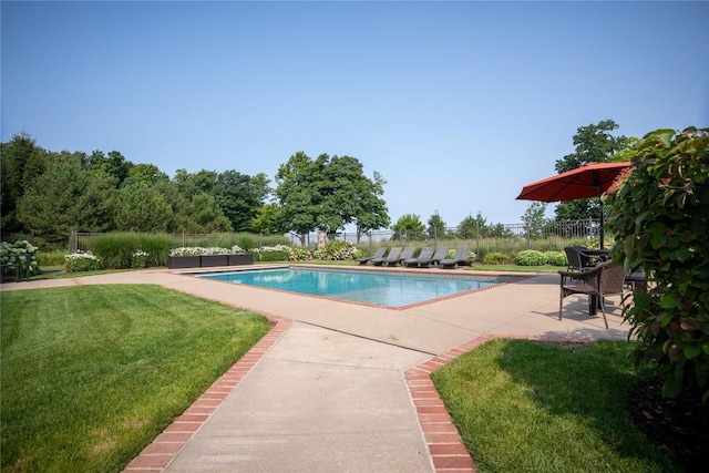 view of swimming pool with a patio and a lawn