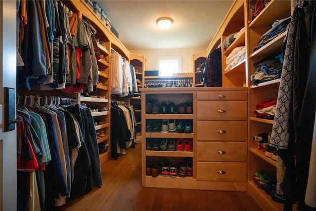 spacious closet featuring wood-type flooring