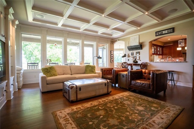 living room with dark hardwood / wood-style flooring, coffered ceiling, crown molding, sink, and beam ceiling