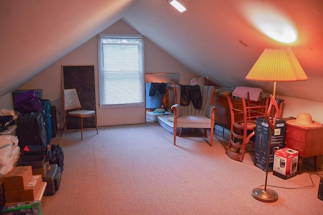 105 Hickory St, Edinboro, PA 16412 - bedroom with carpet floors and lofted ceiling