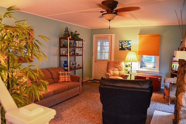 105 Hickory St, Edinboro, PA 16412 - carpeted living room featuring a ceiling fan and crown molding