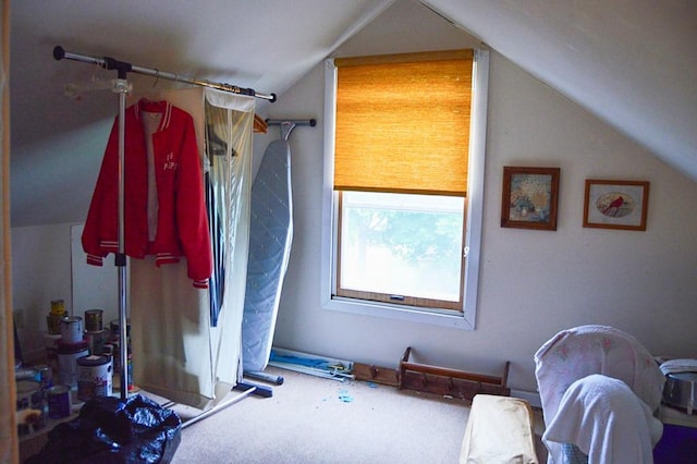 105 Hickory St, Edinboro, PA 16412 - bathroom with vaulted ceiling and a shower with shower curtain