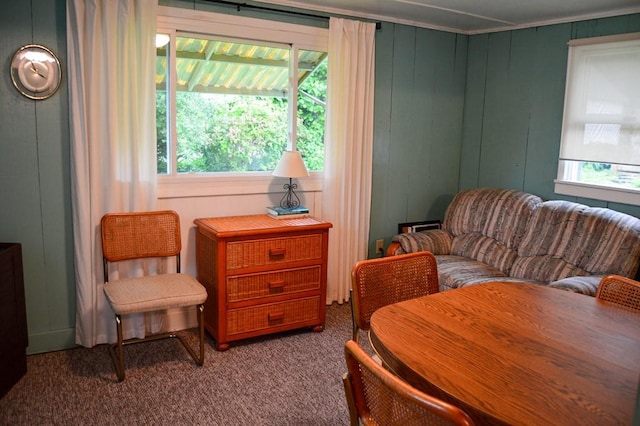 105 Hickory St, Edinboro, PA 16412 - sitting room featuring carpet floors