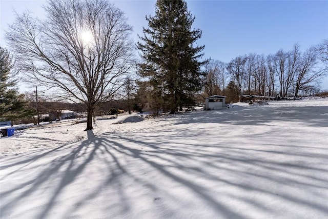 view of yard covered in snow