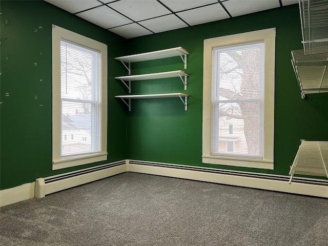 spacious closet featuring a paneled ceiling and carpet floors