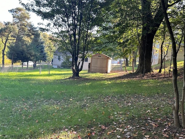 view of yard with a storage unit