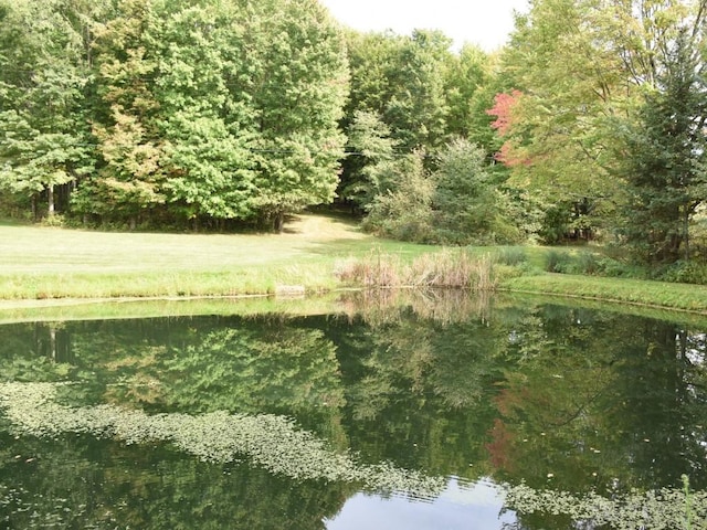 view of landscape featuring a water view