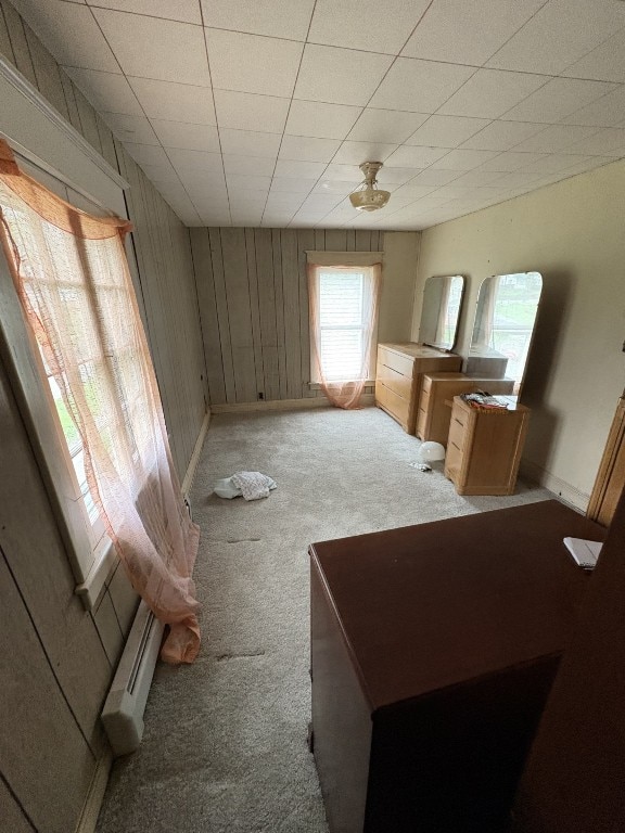 interior space featuring wooden walls, baseboards, and carpet floors