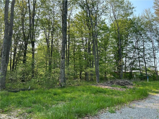 Listing photo 2 for Pine St, Conneaut Lake PA 16316