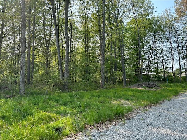 Pine St, Conneaut Lake PA, 16316 land for sale