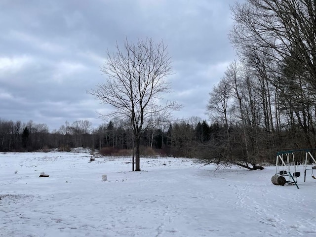 view of yard layered in snow