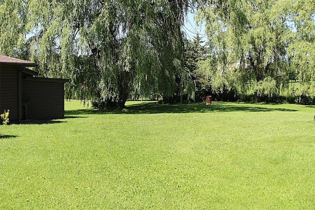 6361 Cherry Ext, Erie, PA 16509 - view of green lawn with view of wooded area