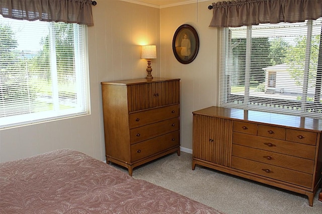 6361 Cherry Ext, Erie, PA 16509 - bedroom with light carpet, multiple windows, and ornamental molding