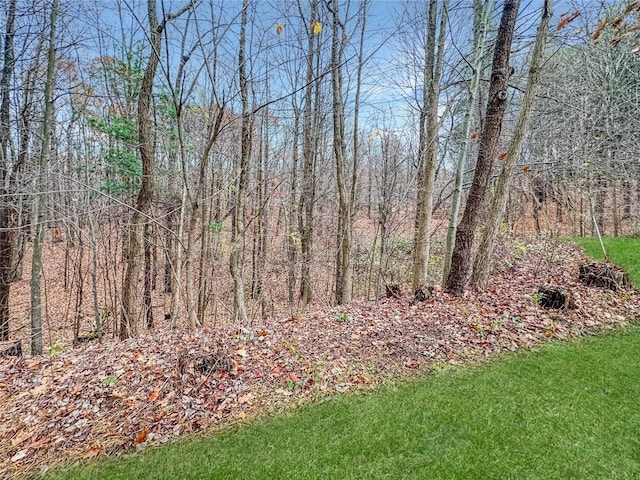 8511 Nissen Dr, Fairview, PA 16415 - view of green lawn with a forest view