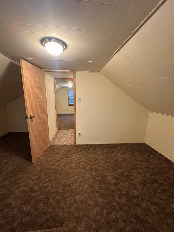 bonus room with vaulted ceiling and carpet