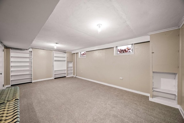 basement featuring carpet floors