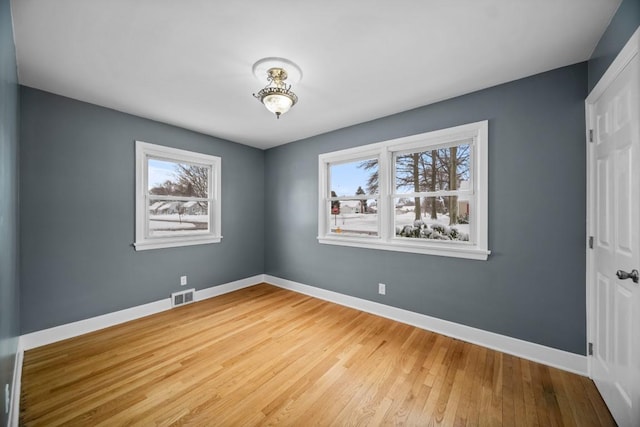 interior space featuring a wealth of natural light and wood-type flooring