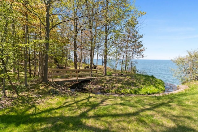 100 Fox Hollow Ln, Harborcreek, PA 16511 - surrounding community with a water view and a yard