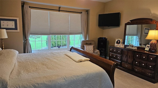 6007 Marble Ln, Fairview, PA 16415 - view of bedroom
