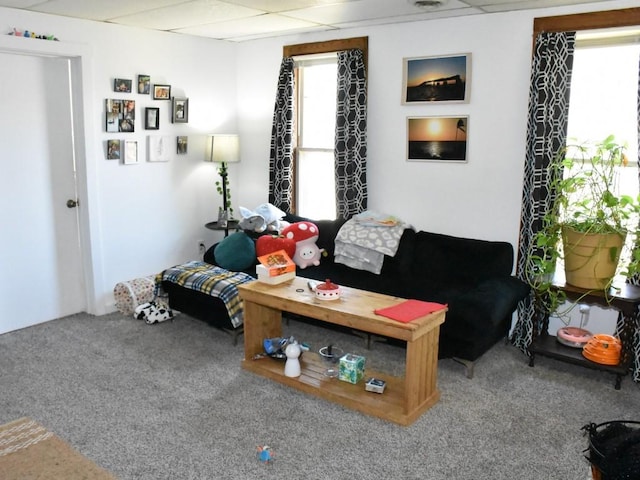 carpeted living room featuring a paneled ceiling and a wealth of natural light