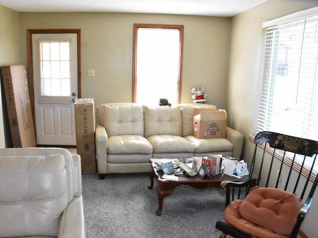 living area with carpet flooring and a healthy amount of sunlight