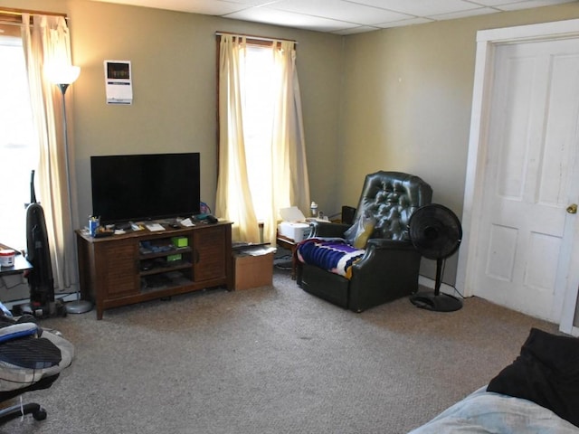 carpeted living room featuring a drop ceiling